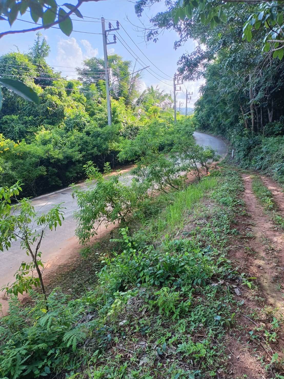 26-rai seafront land on Coconut Island (Koh Maphrao) – รูปที่ 4