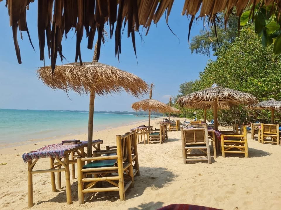 13-rai land near the sea, Khao Lak - Pak Weep Beach – photo 4