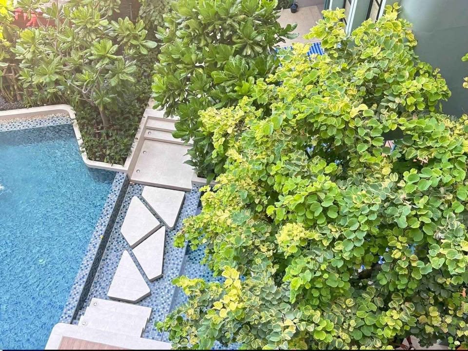 Furnished pool view studio for rent at The Base Bukit