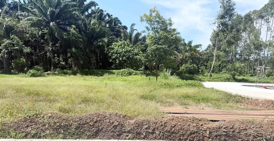 100 sq.wah land plot in Khok Kloi, Phang Nga – photo 3