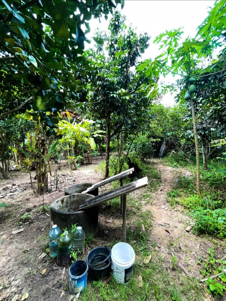 108 sq.wah land plot for sale near Pa Khlok, Thalang – photo 3