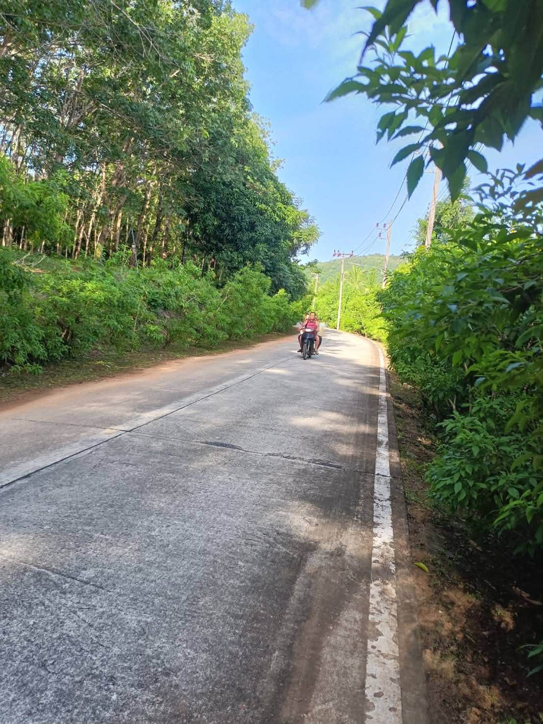 26-rai seafront land on Coconut Island (Koh Maphrao) – รูปที่ 3