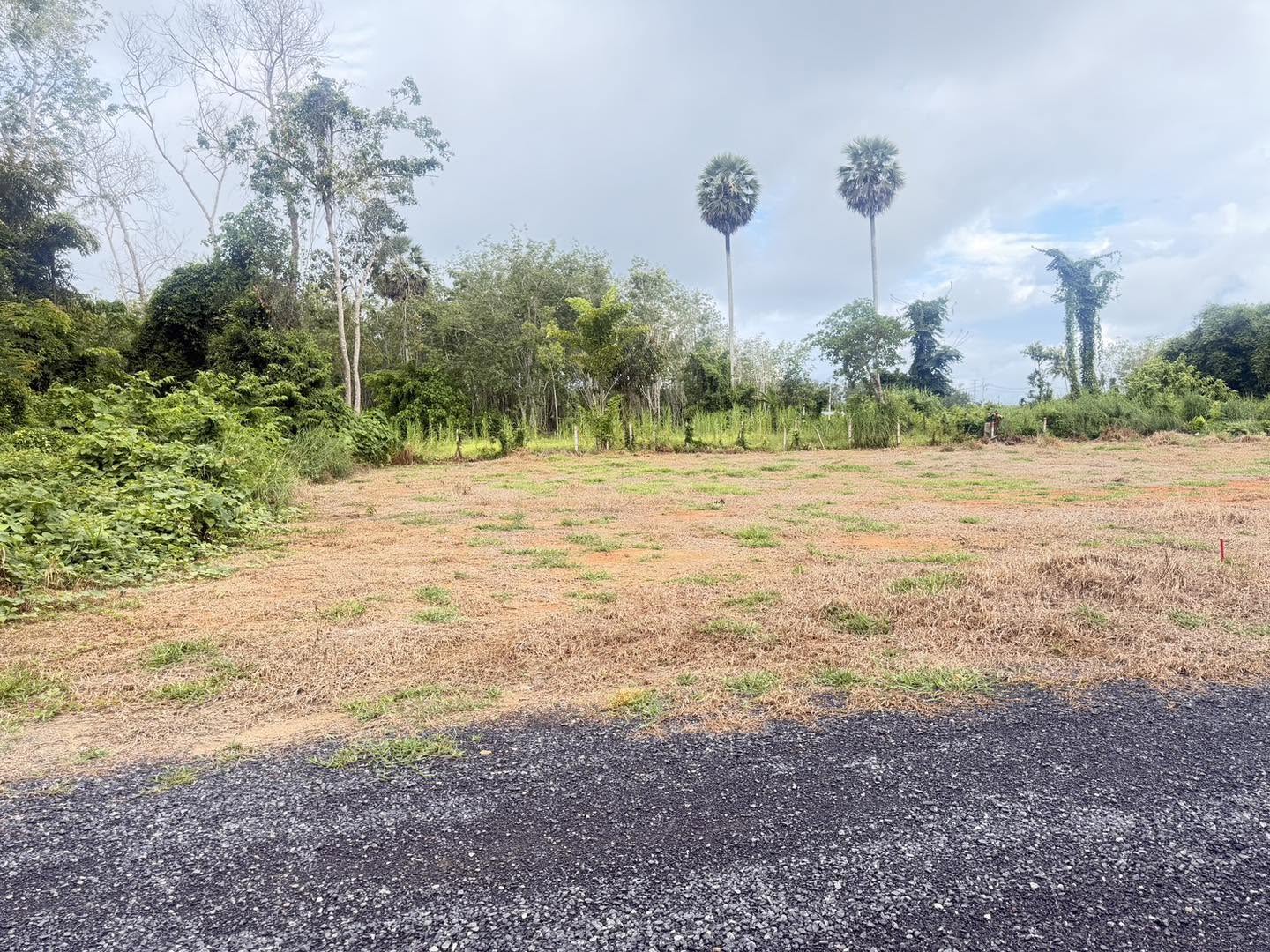 Land plot for sale in Mai Khao Soi 12 – photo 2