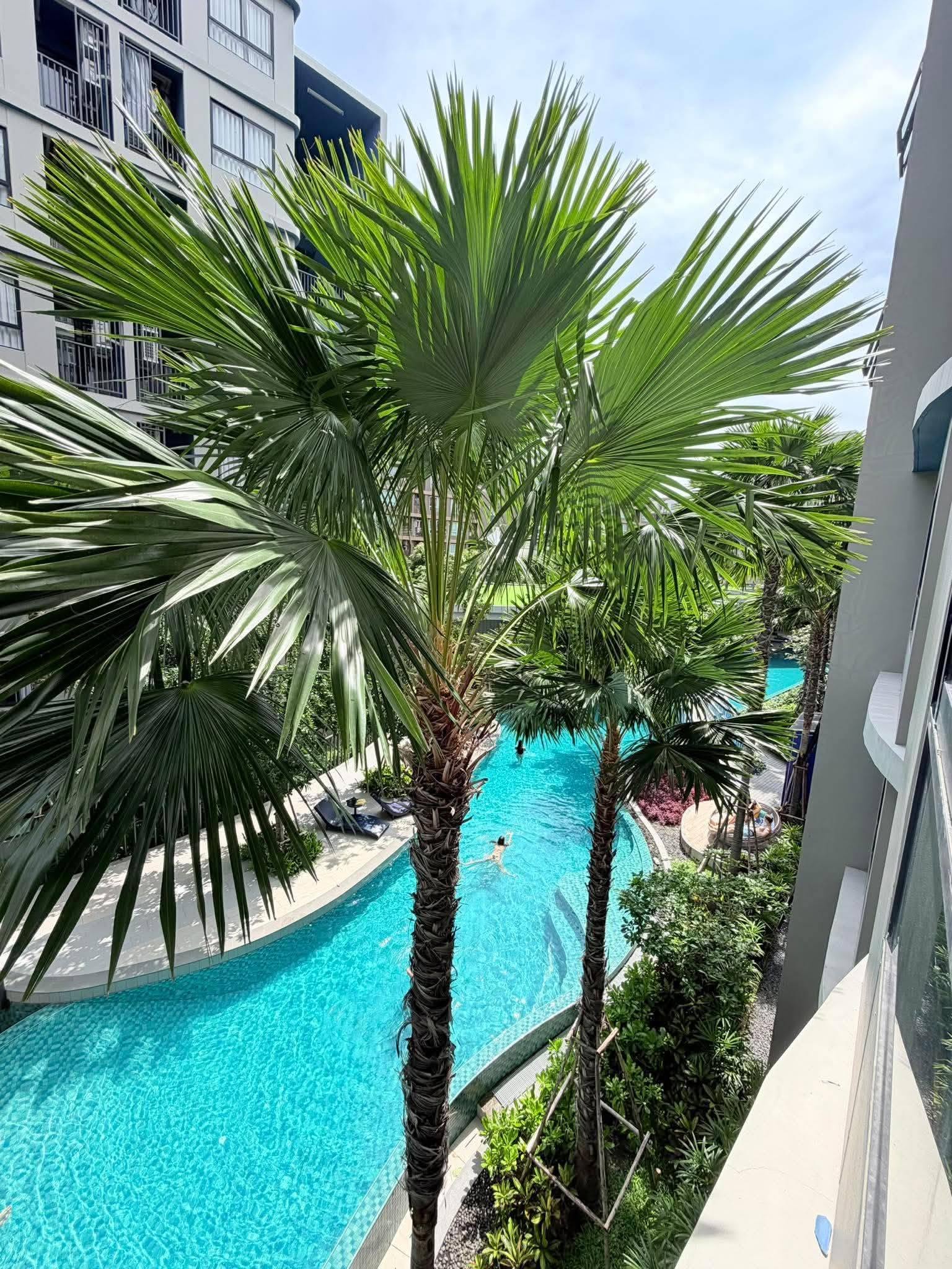 Pool view condo at D Condo Reef Phuket, Building C – photo 7