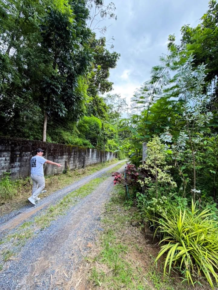 108 sq.wah land plot for sale near Pa Khlok, Thalang