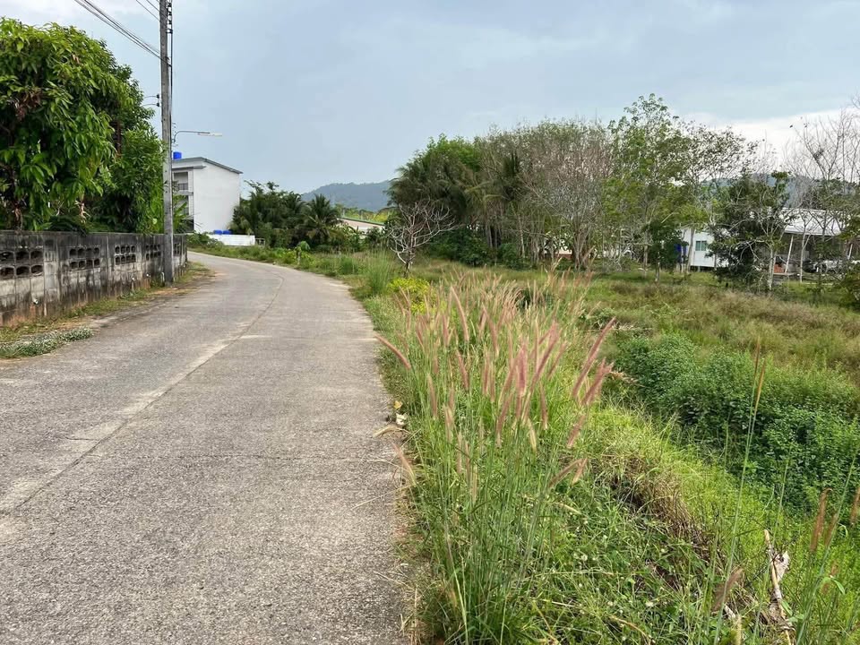 Yellow-zone land for sale near Wat Phra Thong, Thalang