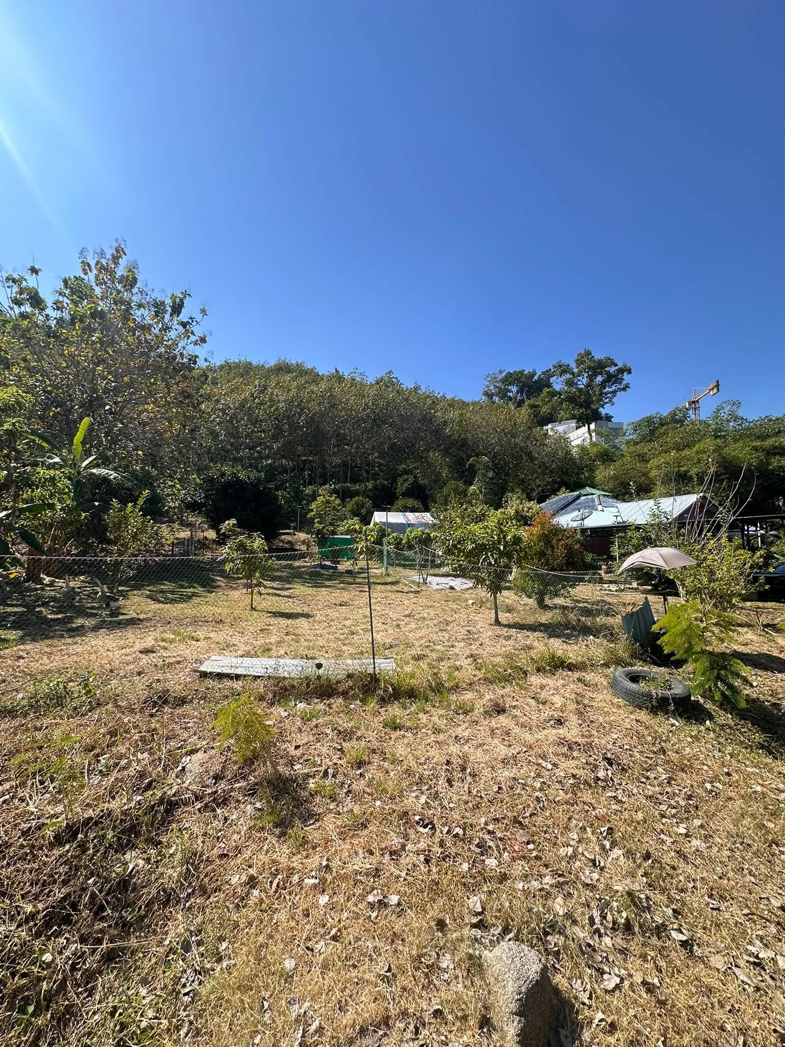 18 Rai Land near Nai Yang Beach, next to Phuket Marriott Nai Yang – รูปที่ 6