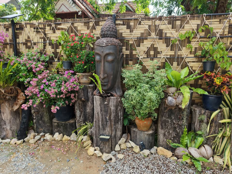 Garden studio and villa estate for master lease in Chalong – photo 2
