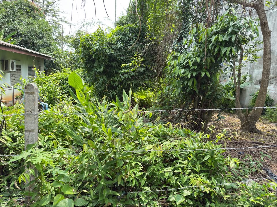 3-bedroom house for sale on Prachauthit 1 Road, Rassada – รูปที่ 2