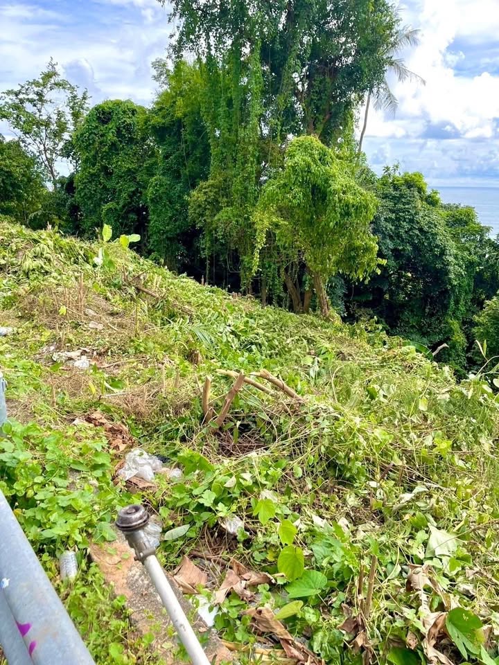 Sea view land for rent above Karon Beach – photo 4