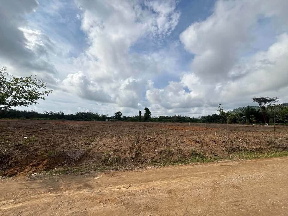 1 Rai Titled Land Plots for Sale in Khok Kloi, Phang Nga – photo 3