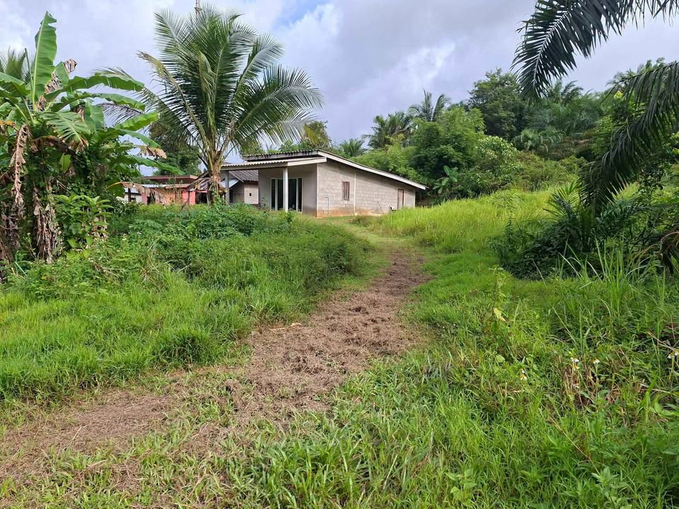 3 Rai 72 Sq.Wah Land with House on Phetkasem Road, Thai Mueang – รูปที่ 5