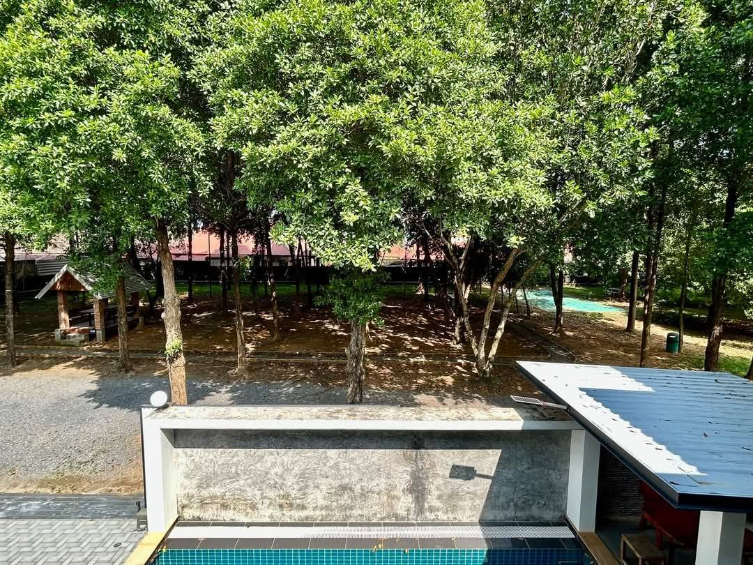 Pet-friendly 3-bedroom pool villa for rent in Paklok, Thalang – photo 3