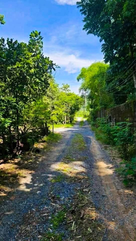 108 sq.wah land plot for sale near Pa Khlok, Thalang – photo 6