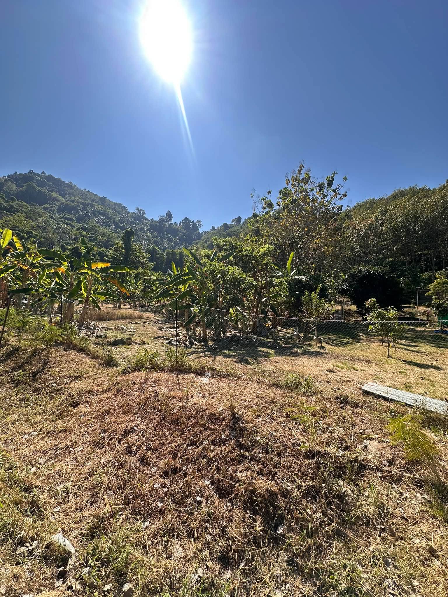 18 Rai Land near Nai Yang Beach, next to Phuket Marriott Nai Yang – รูปที่ 8