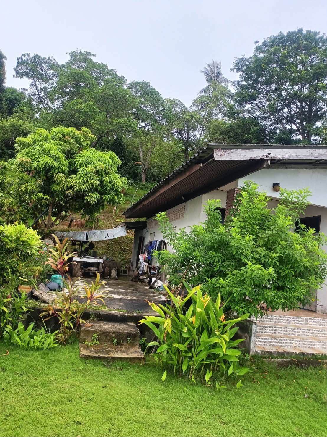 26-rai seafront land on Coconut Island (Koh Maphrao) – photo 7