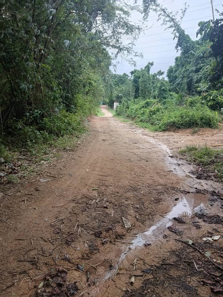 2 rai of vacant land for sale in Soi Na Kok, Phuket – photo 7