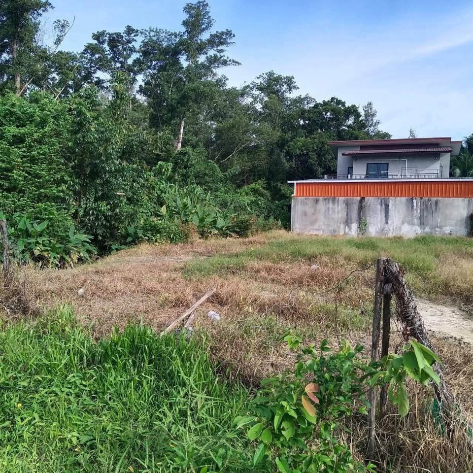 100 sq. wah land plot in Pa Khlok near Tha La Beach – รูปที่ 5