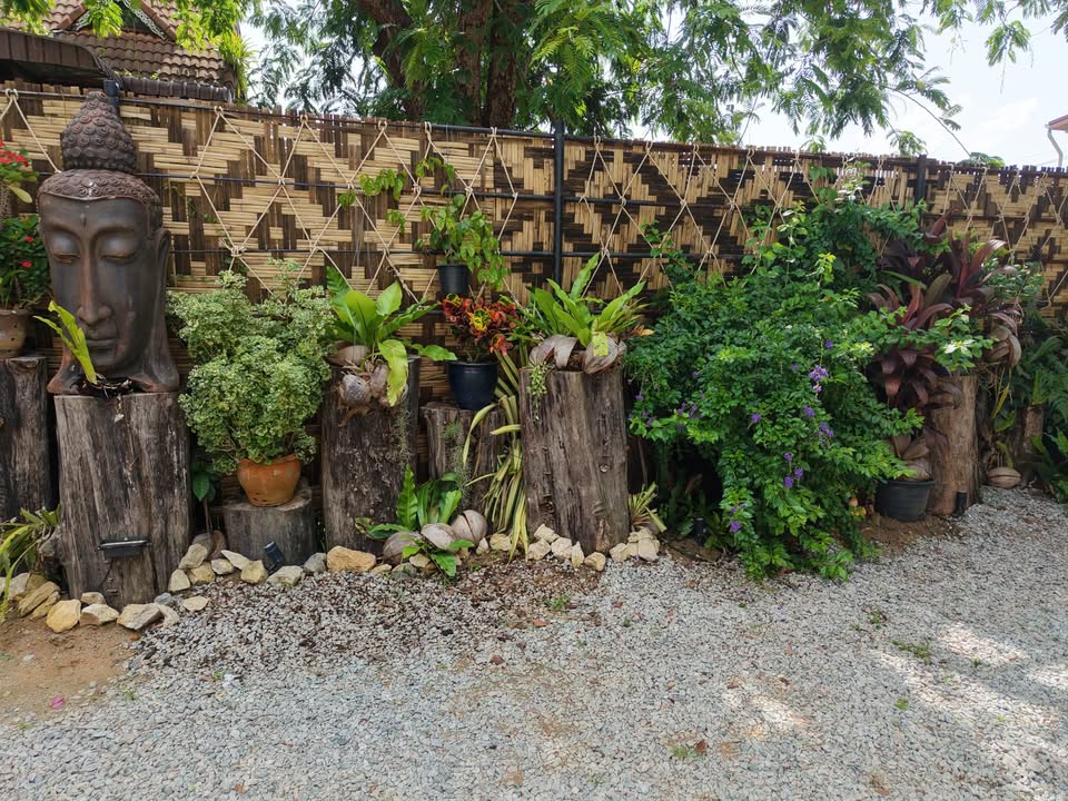 Garden studio and villa estate for master lease in Chalong – photo 3