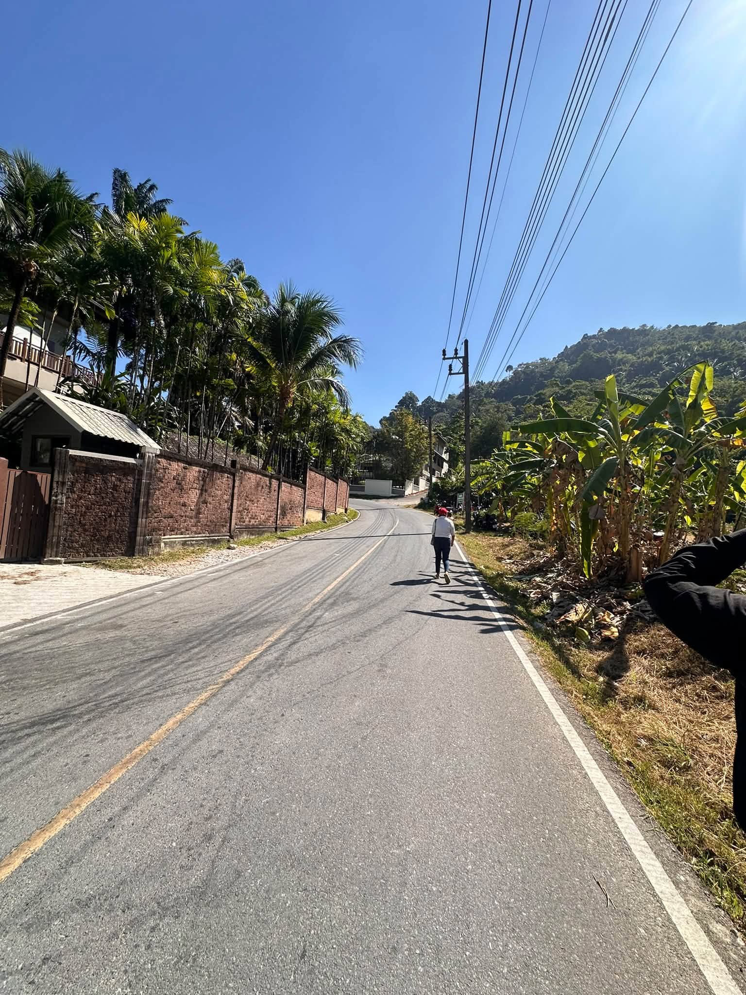 18 Rai Land near Nai Yang Beach, next to Phuket Marriott Nai Yang – รูปที่ 3
