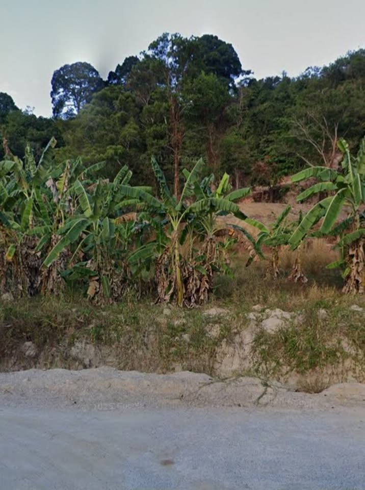 1 Rai Vacant Land for Sale next to Wat Luang Pu Supha, Chalong – photo 2