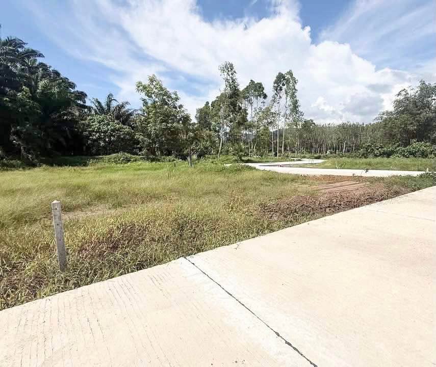 100 sq.wah land plot in Khok Kloi, Phang Nga – photo 5
