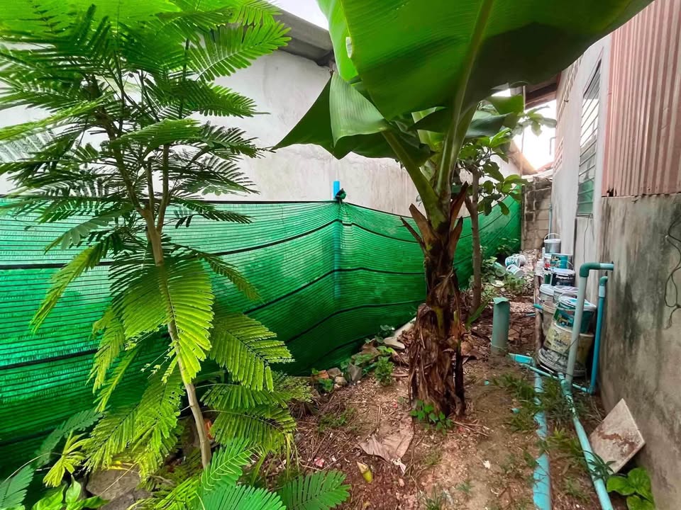 2-bedroom house with land for sale in Cherng Talay – photo 9