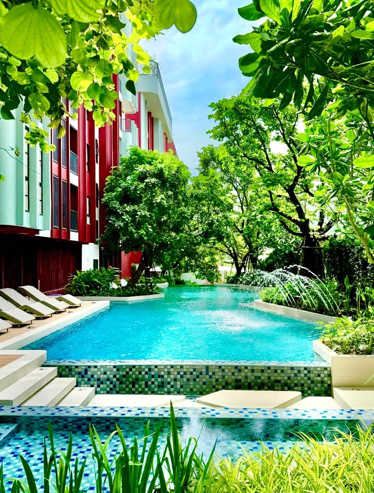 1BR condo for rent, The Base Bukit, Kathu – รูปที่ 5