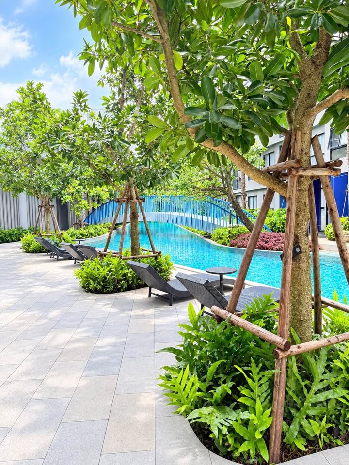 1-Bedroom Condo for Rent at Dcondo Reef, Kathu – photo 9