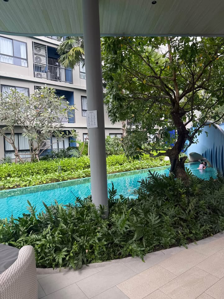 Modern furnished corner condo for rent at Dcondo Reef Kathu – photo 8