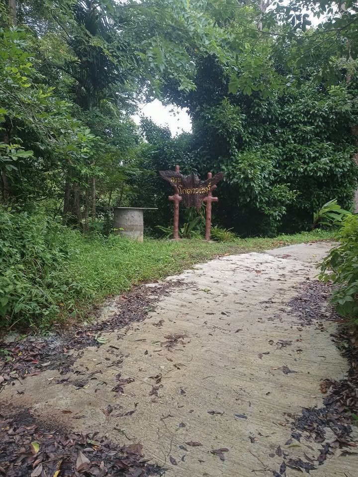 2 rai of vacant land for sale in Soi Na Kok, Phuket – photo 6
