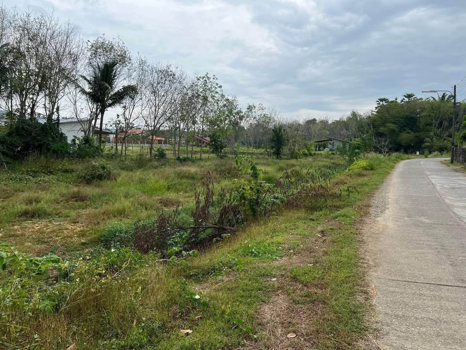 Yellow-zone land for sale near Wat Phra Thong, Thalang – photo 2