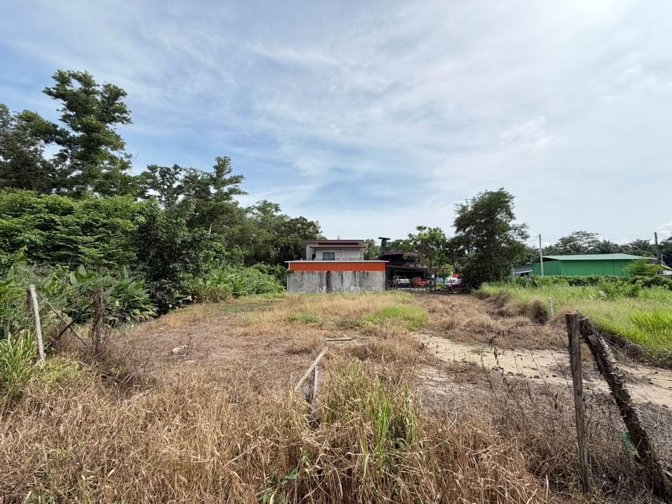 100 sq.wah land plot for sale in Pa Khlok, Soi Hat Tha La