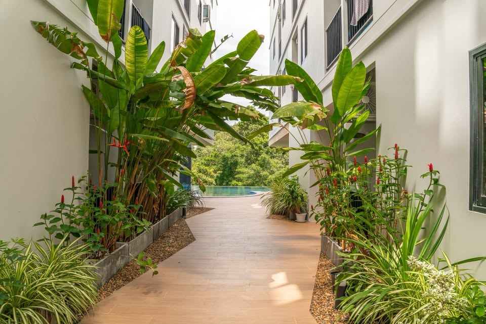 Ready-to-move-in condo at VIP Great Hill, Nai Yang – photo 2