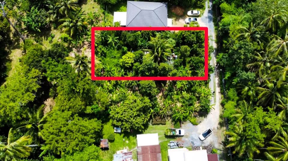 108 sq.wah land plot for sale near Pa Khlok, Thalang – photo 9