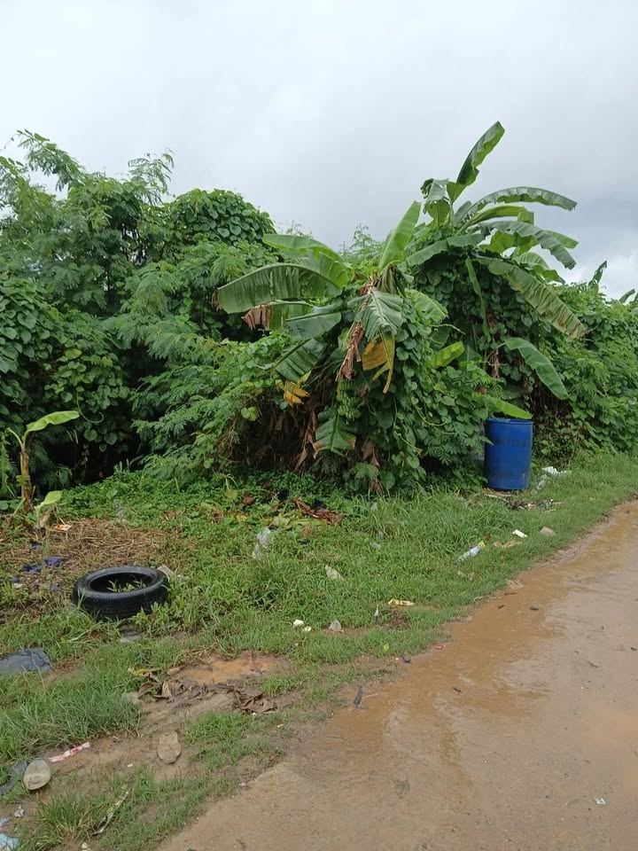 4 Rai Vacant Land for Sale on Koh Sirey, Phuket – photo 4