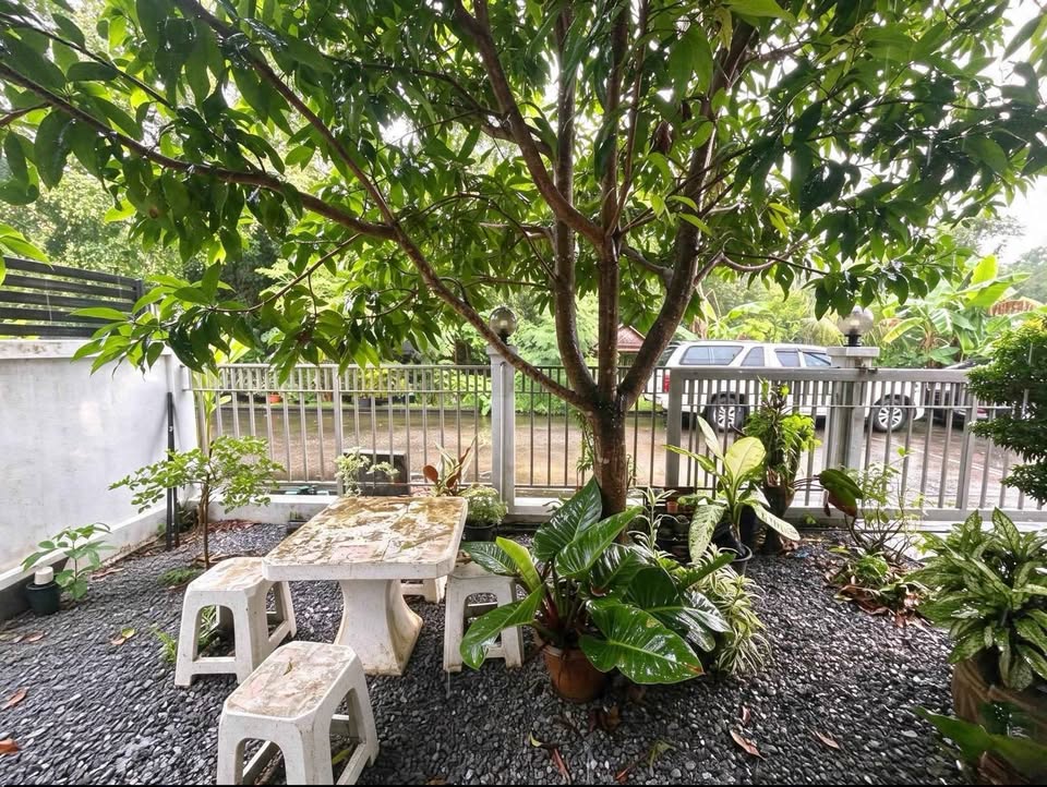 3-Bed Detached House for Sale near Tha La Beach, Thalang – รูปที่ 4