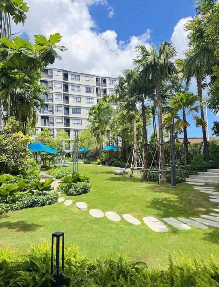 1-Bed Mountain View Condo for Rent at D Condo Reef Kathu – รูปที่ 3