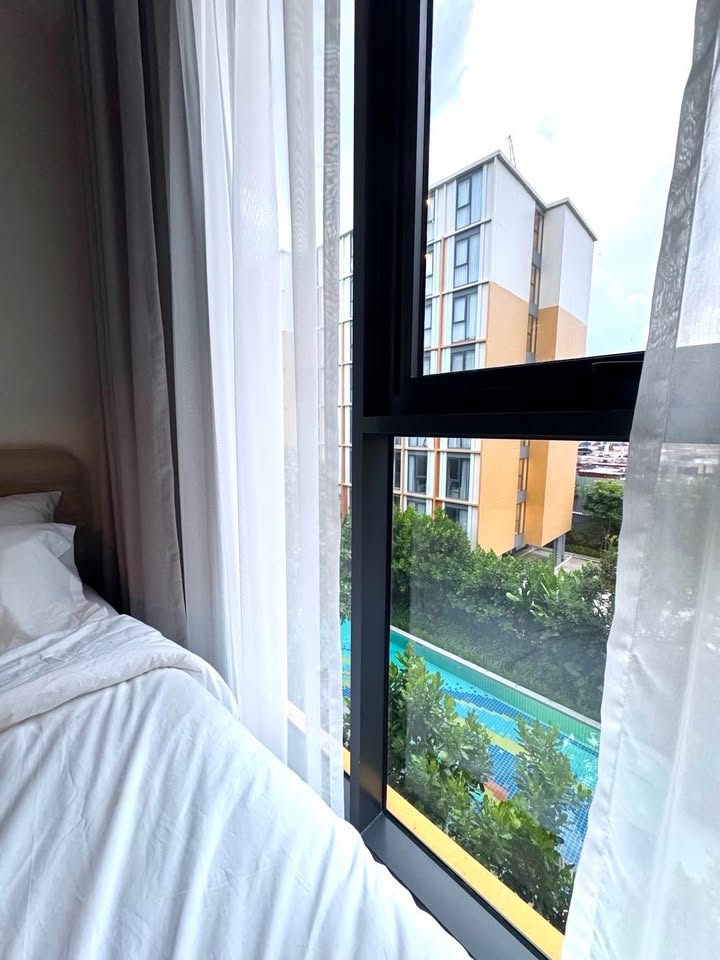 1+1 bedroom pool-view condo for rent at The Base Rise near Central Phuket – photo 5