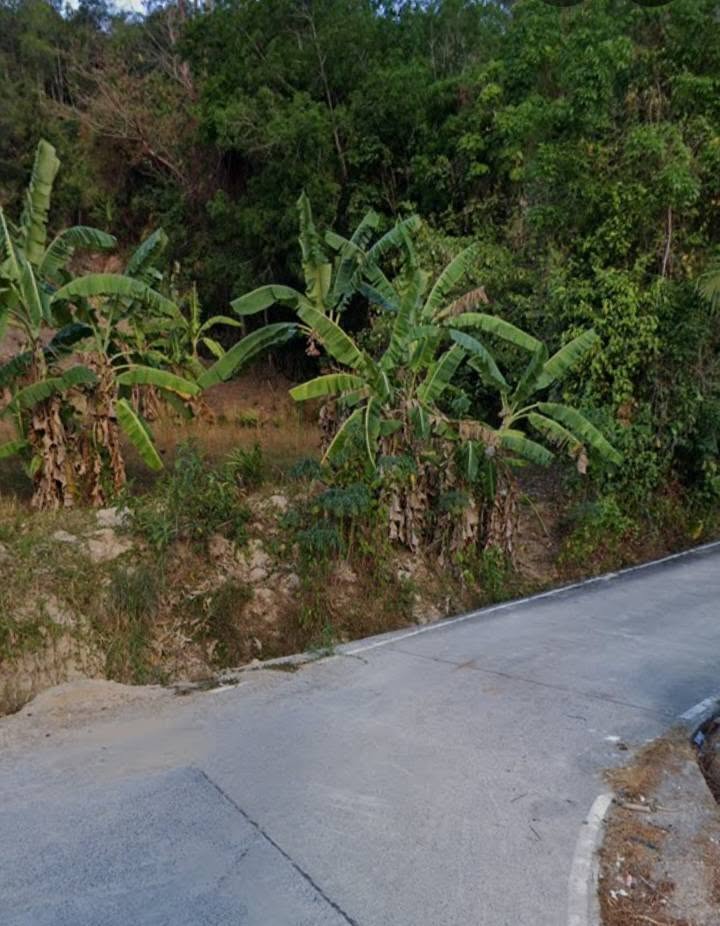1 Rai Vacant Land for Sale next to Wat Luang Pu Supha, Chalong – photo 3