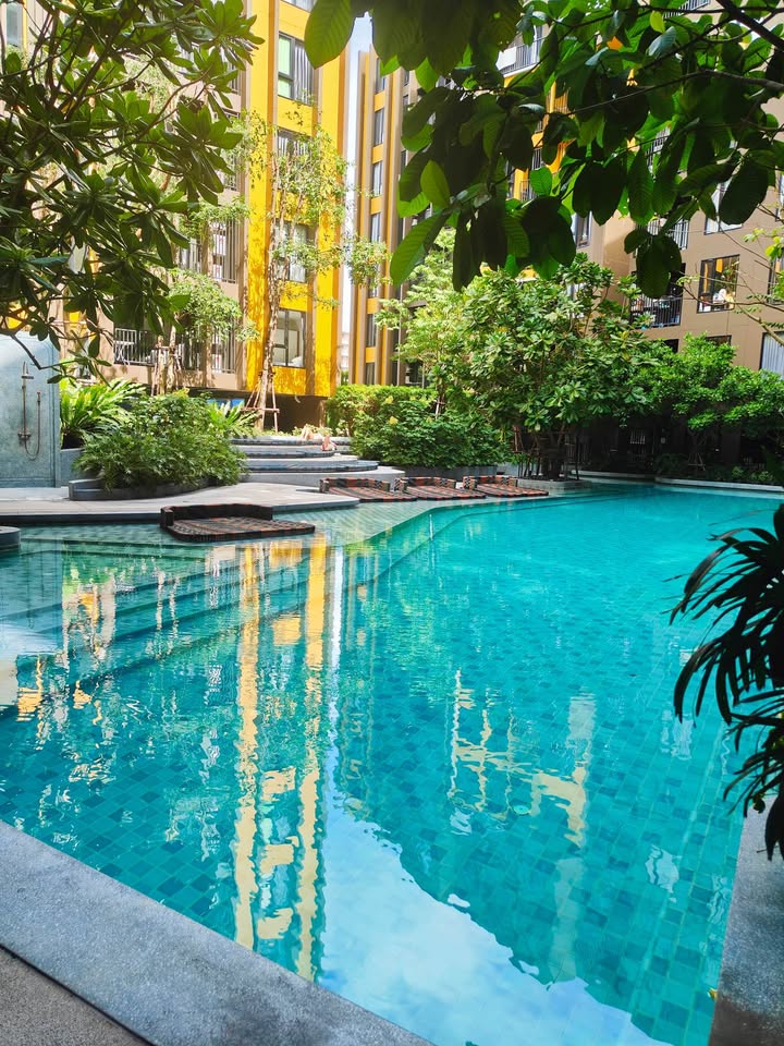 Studio condo for rent at The Base Central Phuket – photo 8