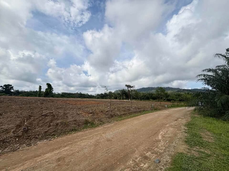 1 Rai Titled Land Plots for Sale in Khok Kloi, Phang Nga – photo 6