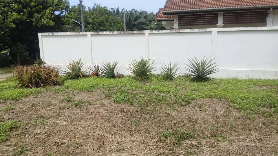 Land for sale near the sea in Thai Mueang, Phang Nga – photo 3