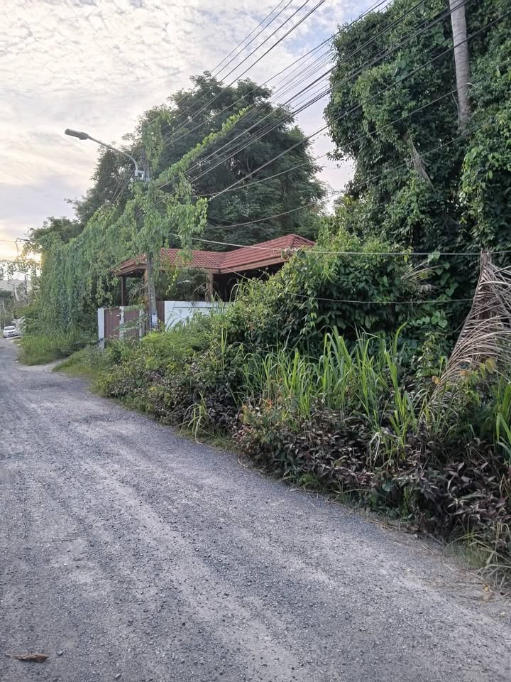 Vacant land, Rawai near The Vijitt Resort – photo 4