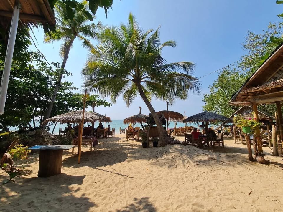 13-rai land near the sea, Khao Lak - Pak Weep Beach – photo 5