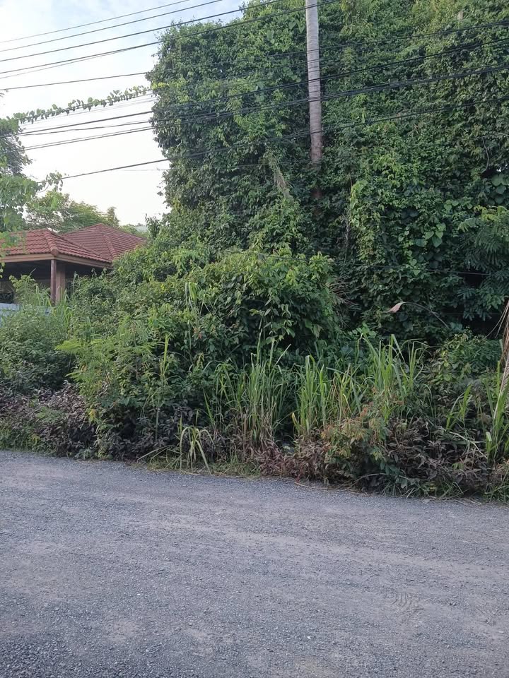 Vacant land, Rawai near The Vijitt Resort – photo 3