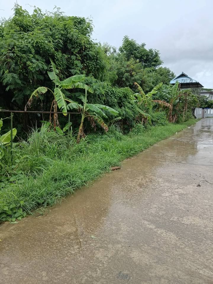 4 rai land on Koh Siray, sold per rai – photo 5