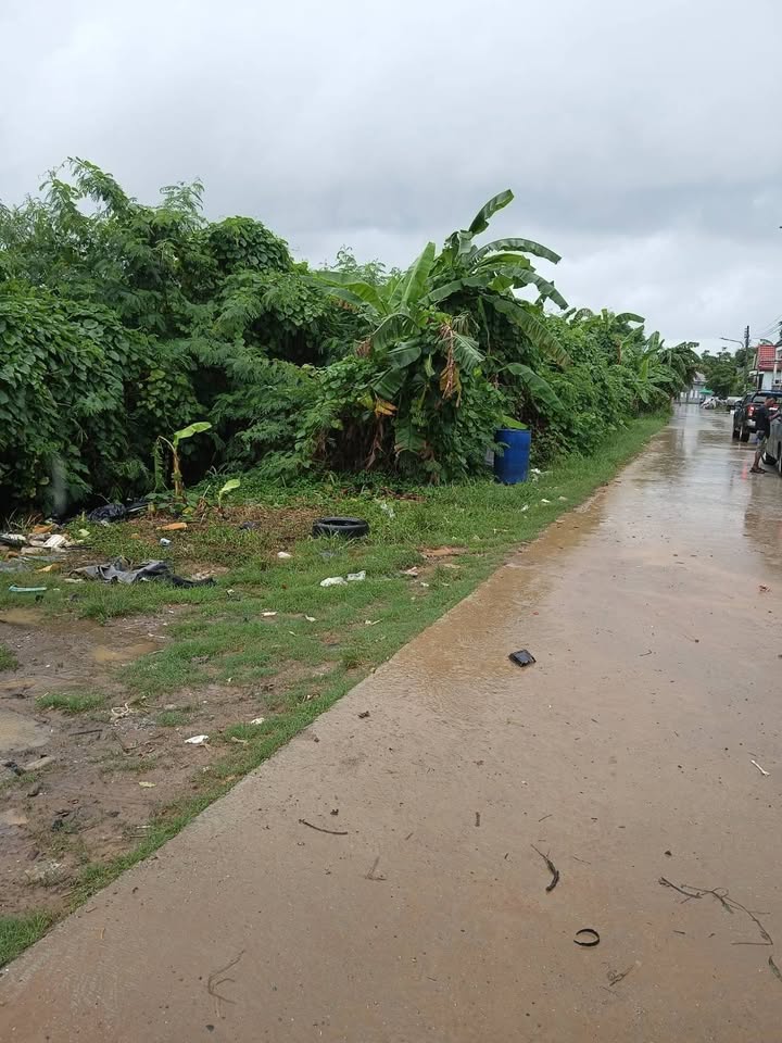 4 Rai Vacant Land for Sale on Koh Sirey, Phuket – photo 6