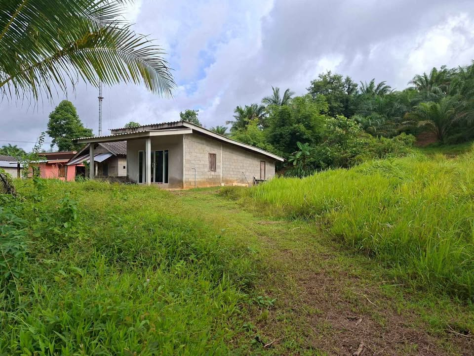 3 Rai 72 Sq.Wah Land with House on Phetkasem Road, Thai Mueang – รูปที่ 6