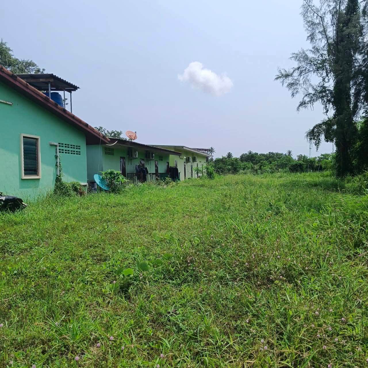 Land Plots for Sale in Front of Wat Tha Sak, 100 m from 4-Lane Road – photo 8